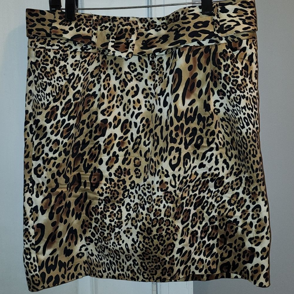 Adrienne Vittadini skirt